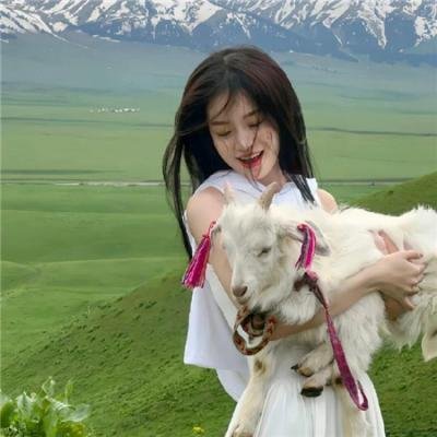 圣斗士星矢 众神的激战